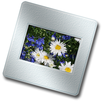 35 mm Frame Blue and White Flowers2